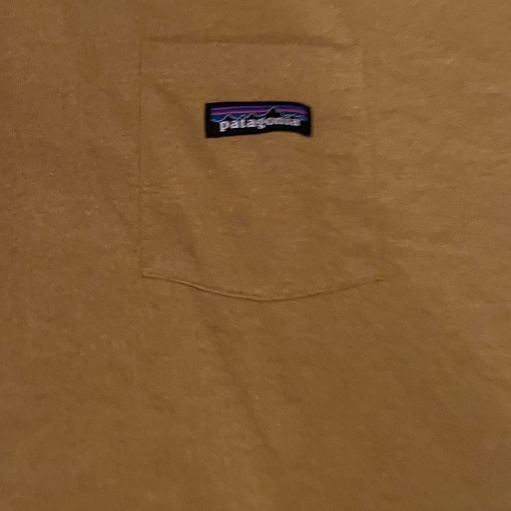 Patagonia tee